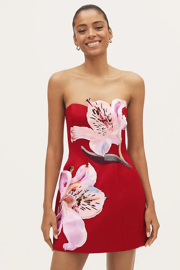 Rosario Appliqué Bustier Mini Dress in red