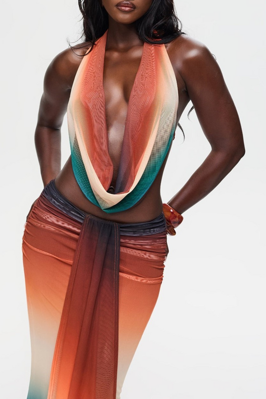 Faunia Mesh Gradient Top & Skirt Set