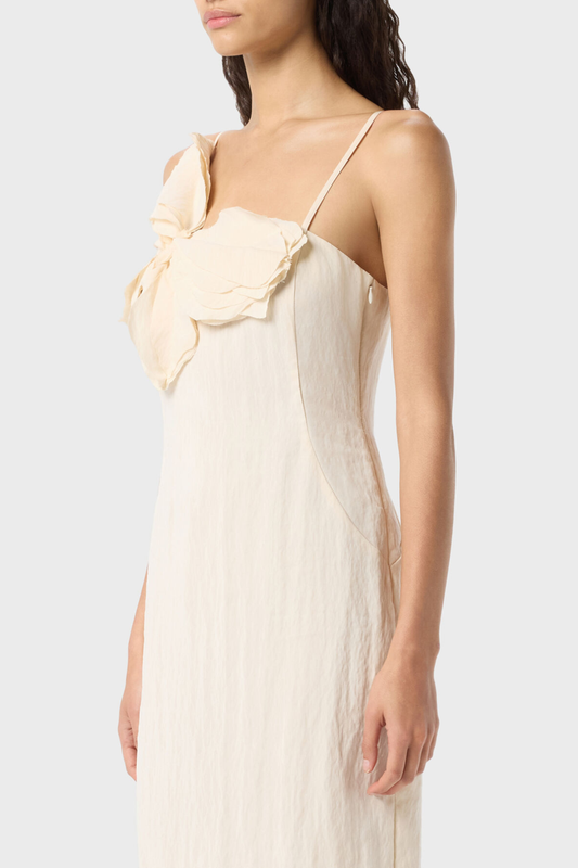Hanara Floral Appliqué Midi Dress