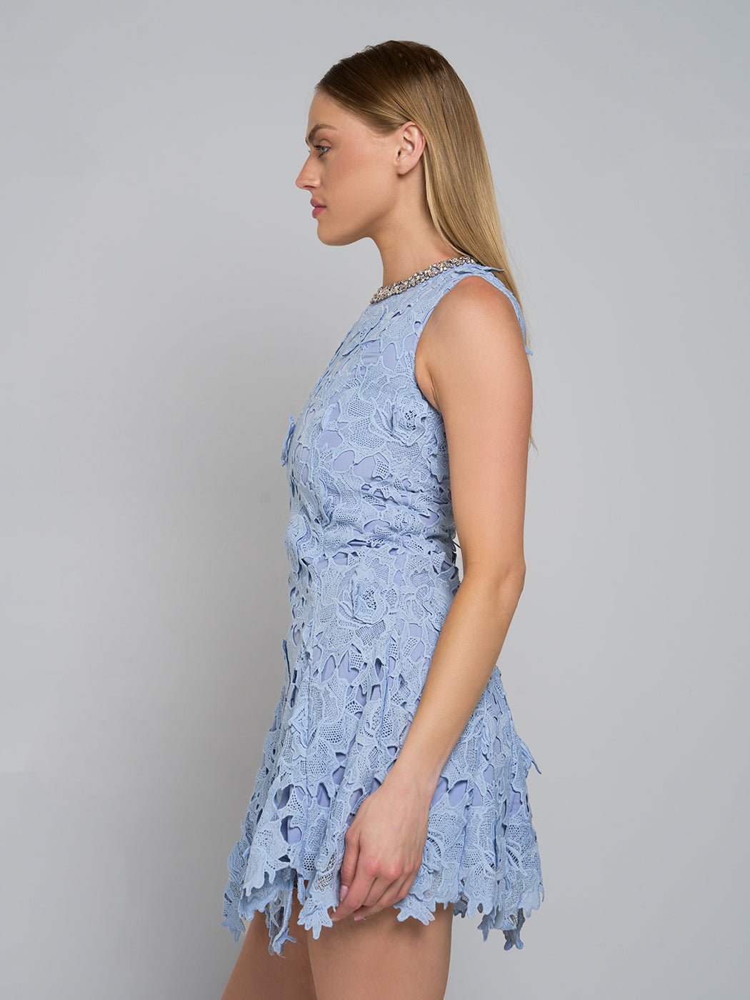 Camille Asymmetric Lace Mini Dress