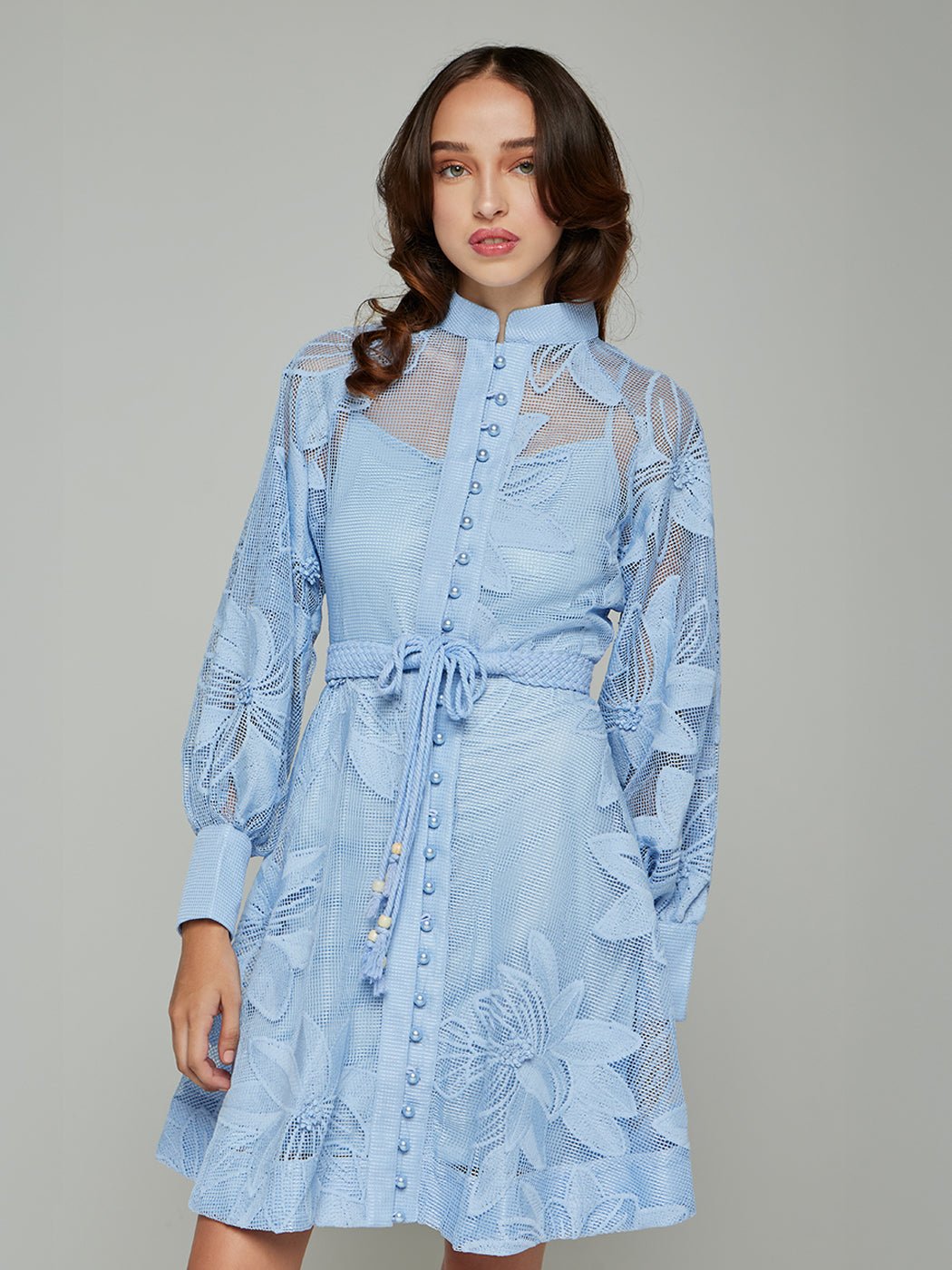 Tessie Mesh Applique Buttoned Mini Dress
