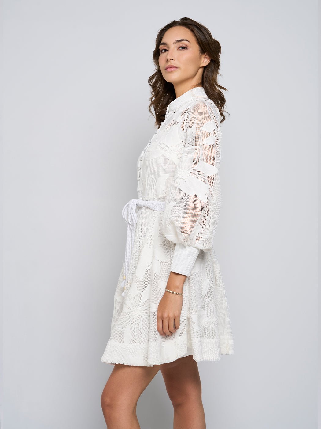 Tessie Mesh Applique Buttoned Mini Dress