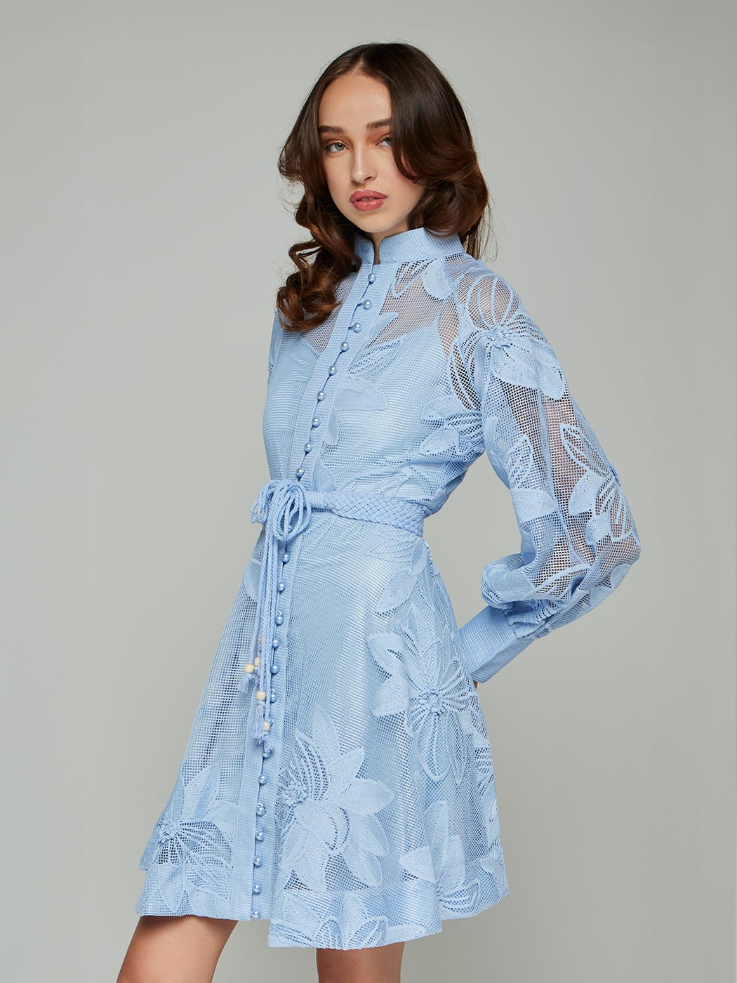 Tessie Mesh Applique Buttoned Mini Dress