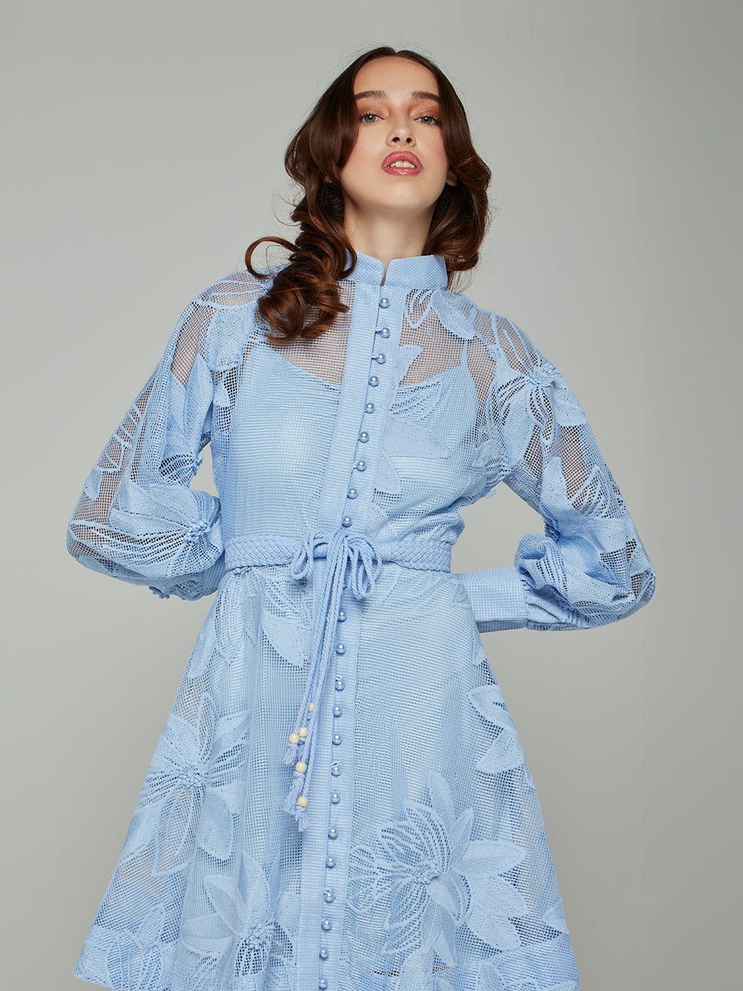 Tessie Mesh Applique Buttoned Mini Dress