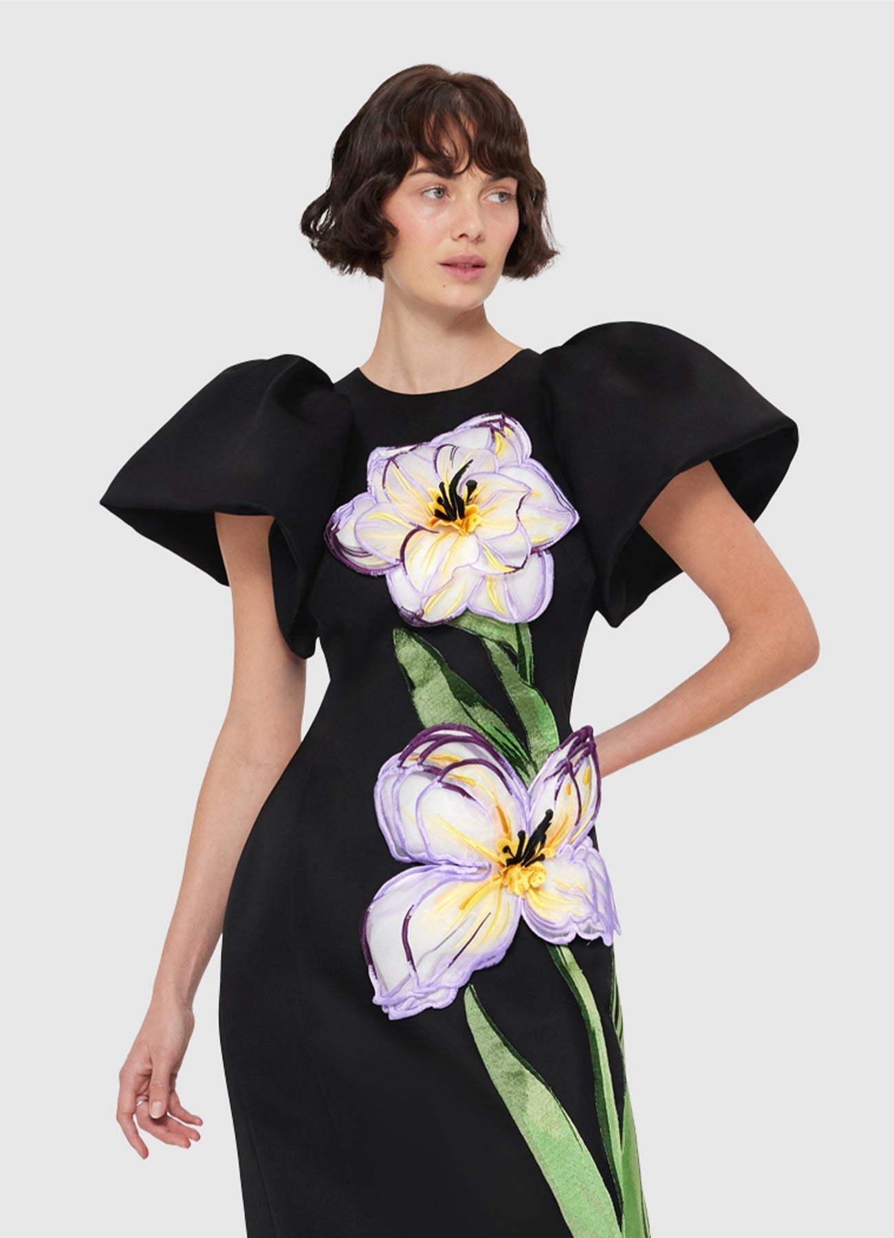 annabelle Iris Print Appliqué Floral Maxi Dress in Ebony