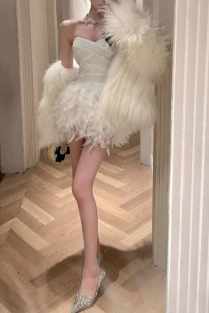 Stylish beautiful dress | Alisa Feather Mini Dress - Ideal for special occasions