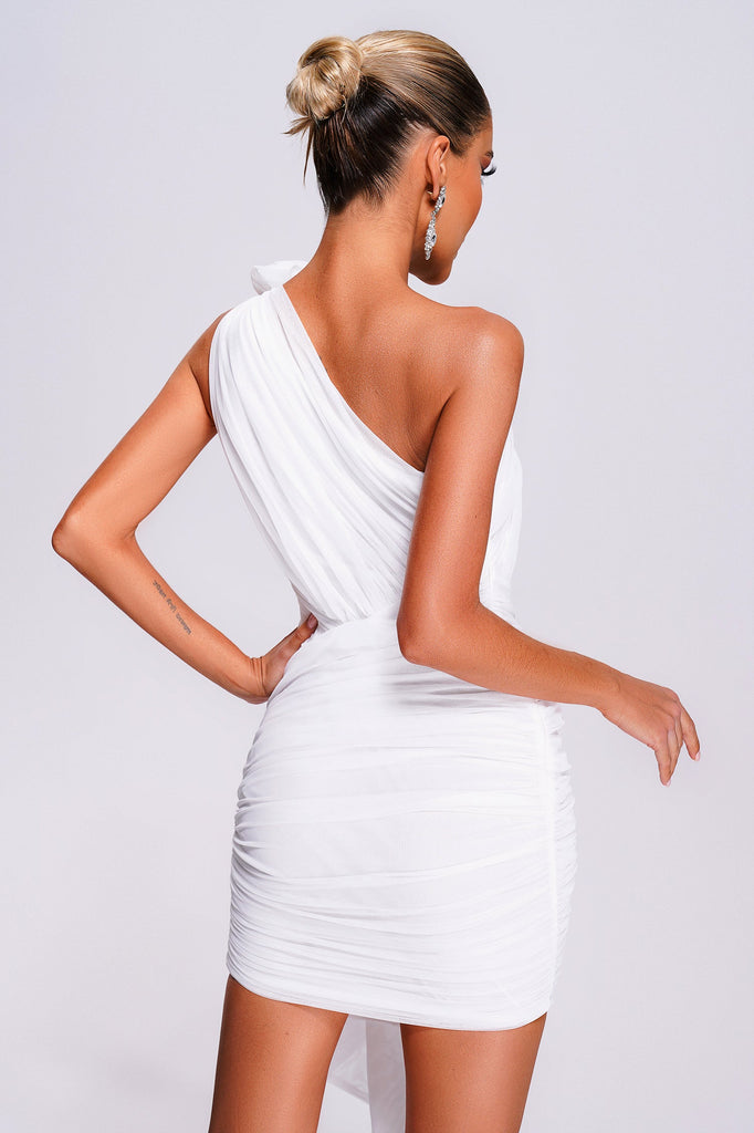 Shop  beautiful dress - Perfect for special occasions | Olivia One Shoulder Mesh Mini Dress