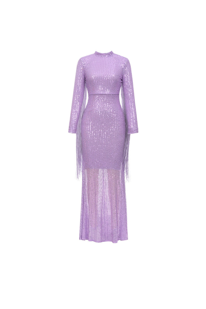 Stylish purple dress | Sequin fringe maxi dress in purple - Ideal for special occasions