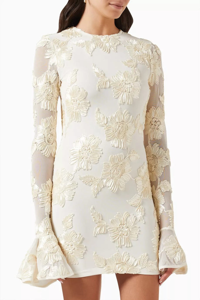 Shop  red dress - Perfect for special occasions | Floral-Embroidered Mesh Mini Dress In Ivory