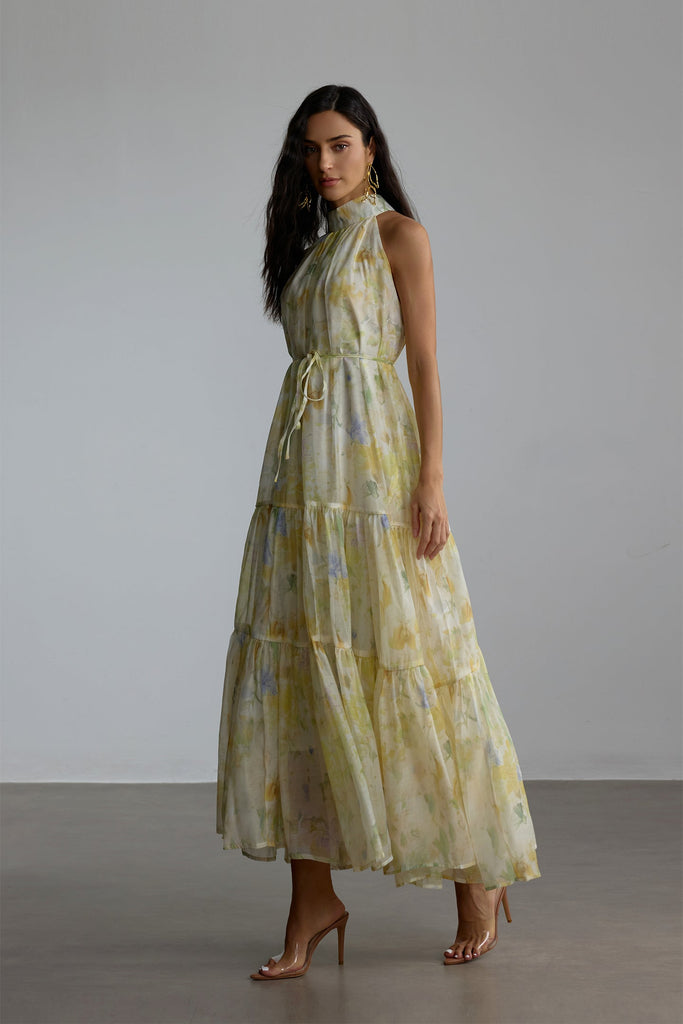 Stylish yellow dress | caroline Floral Print Sleeveless Maxi Dress in yellow - Ideal for special occasions
