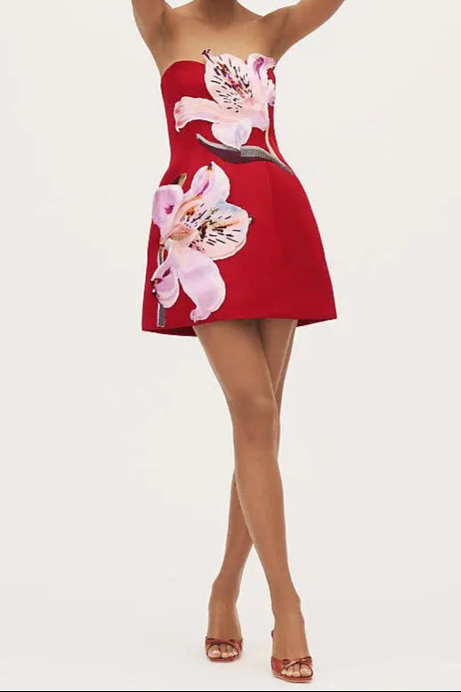 Shop  red dress - Perfect for special occasions | Rosario Appliqué Bustier Mini Dress in red