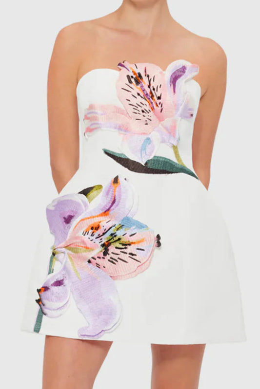Rosario Appliqué Bustier Mini Dress in white