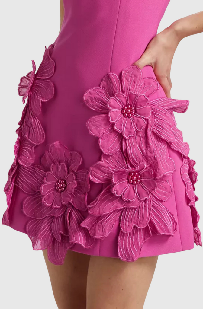 Shop  pink dress - Perfect for special occasions | Adalgisa Floral Appliqué Mini Dress - Pink