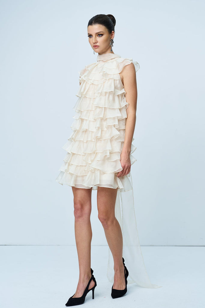 Stylish beautiful dress | Ames Ruffle Ruch Sleeveless Mini Dress In Apricot - Ideal for special occasions