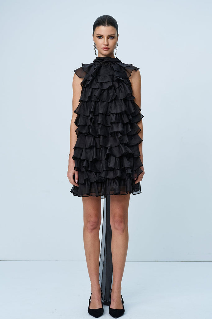 Shop  beautiful dress - Perfect for special occasions | Ames Ruffle Ruch Sleeveless Mini Dress