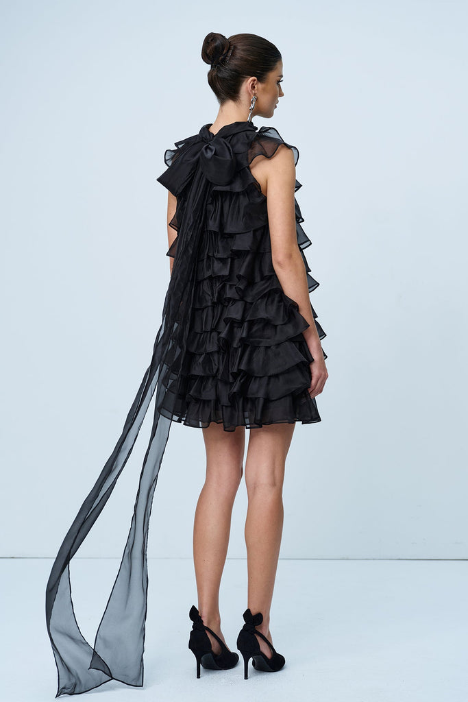 Stylish beautiful dress | Ames Ruffle Ruch Sleeveless Mini Dress - Ideal for special occasions