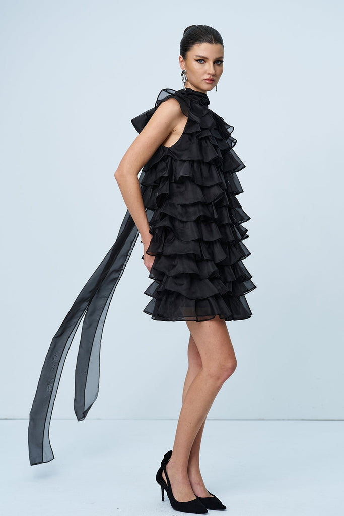 Shop  beautiful dress - Perfect for special occasions | Ames Ruffle Ruch Sleeveless Mini Dress