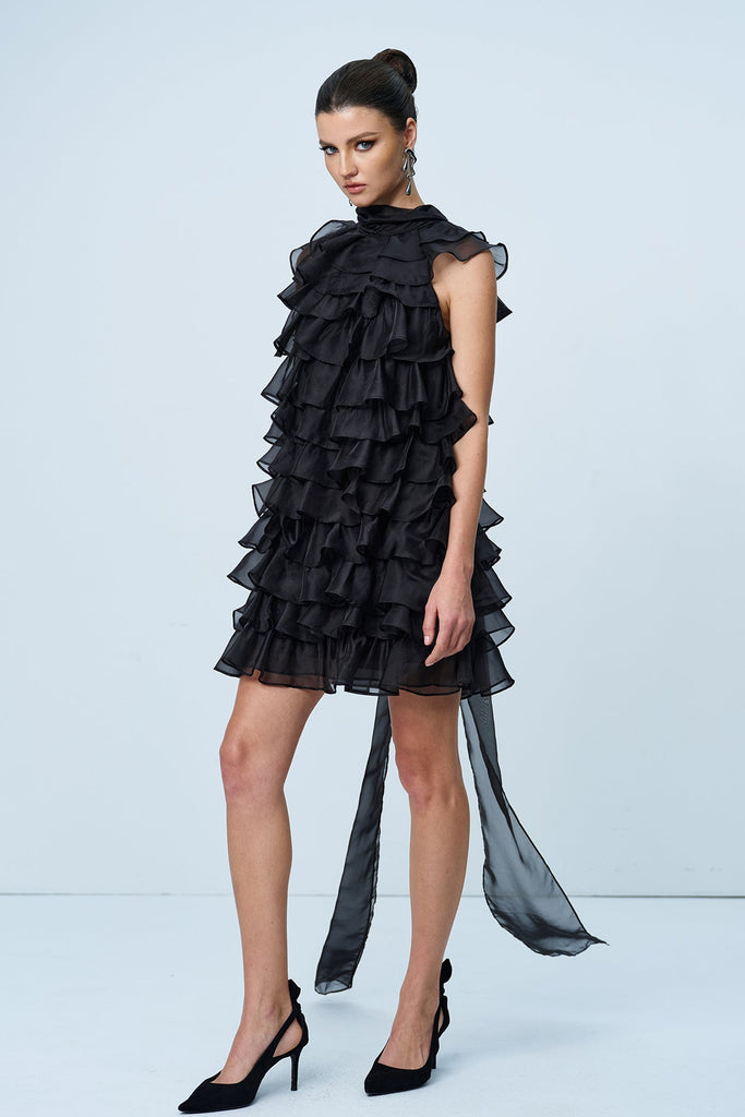Shop  beautiful dress - Perfect for special occasions | Ames Ruffle Ruch Sleeveless Mini Dress