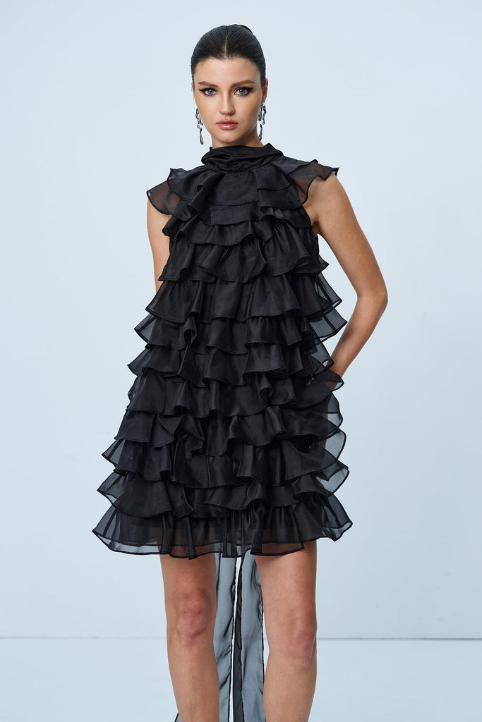 Ames Ruffle Ruch Sleeveless Mini Dress - Stylish beautiful dress for special occasions | Buy Online