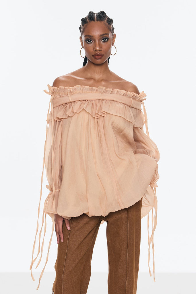 Stylish beautiful dress | Aneirin Off Shoulder Mesh Ruffle Top - Ideal for special occasions