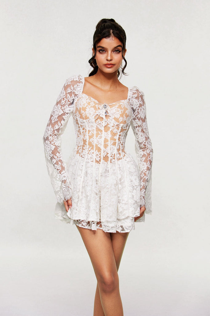 Stylish beautiful dress | Aneko Lace Ruffle Mini Dress - Ideal for special occasions