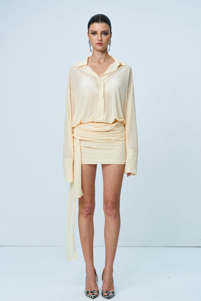 Anik Ruch Mesh Mini Dress - Stylish beautiful dress for special occasions | Buy Online