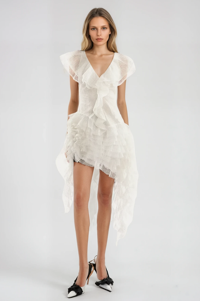 Stylish beautiful dress | Anshu Ruffle Mesh Fringe Mini Dress - Ideal for special occasions