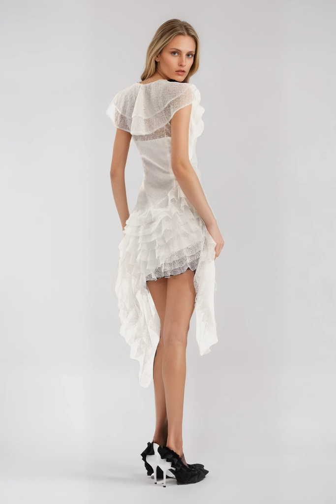 Shop  beautiful dress - Perfect for special occasions | Anshu Ruffle Mesh Fringe Mini Dress