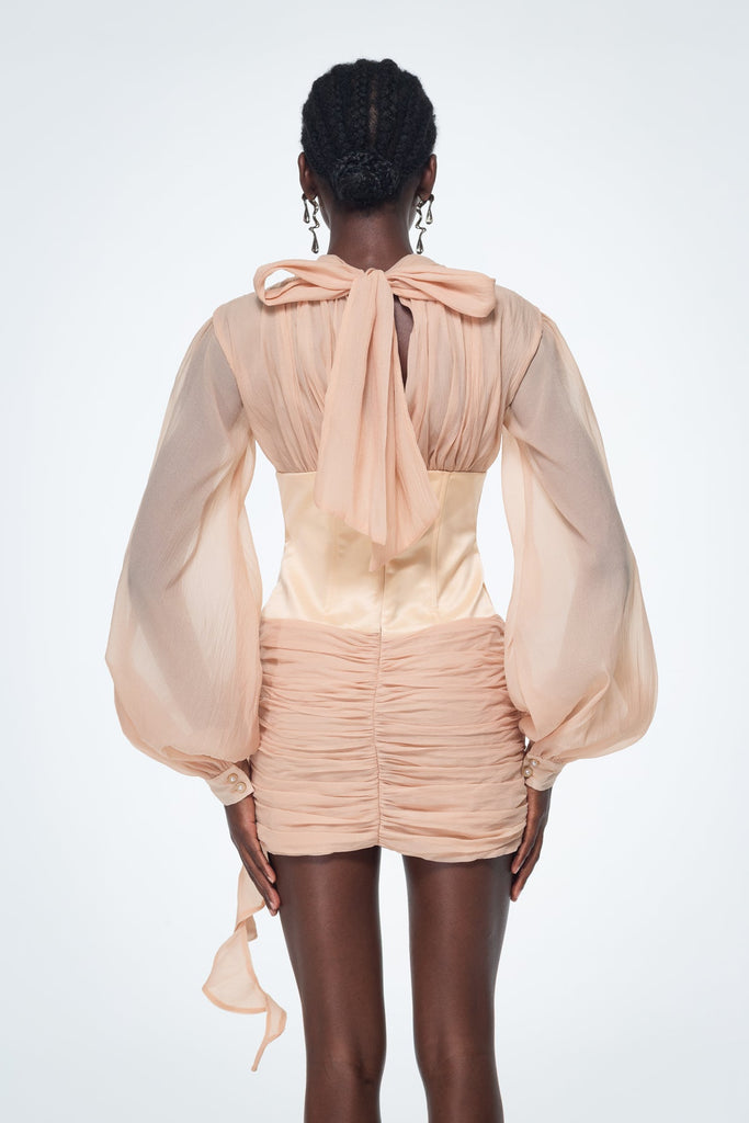 Baard Corset Mesh Flower Ruch Mini Dress - Stylish beautiful dress for special occasions | Buy Online