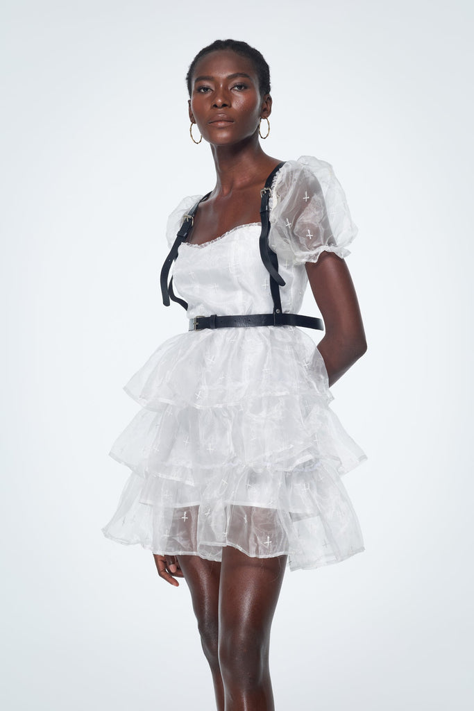 Babis Mesh Ruffle Mini Dress - Stylish beautiful dress for special occasions | Buy Online