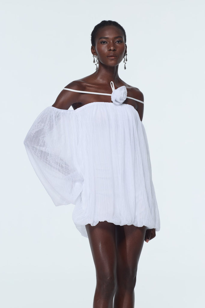 Shop  beautiful dress - Perfect for special occasions | Babs Balloon Sleeve Mesh Mini Dress