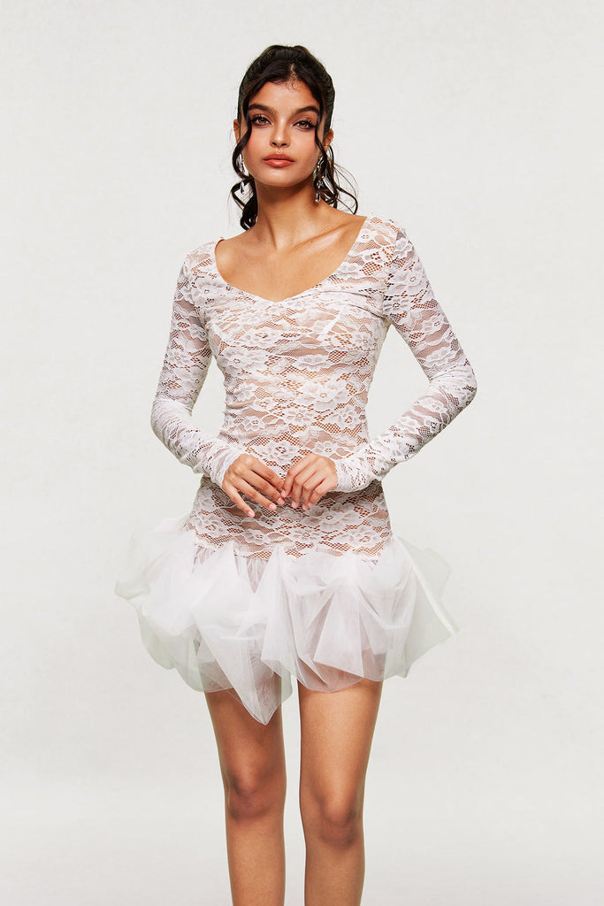 Barun Lace Mesh V Neck Mini Dress - Stylish beautiful dress for special occasions | Buy Online