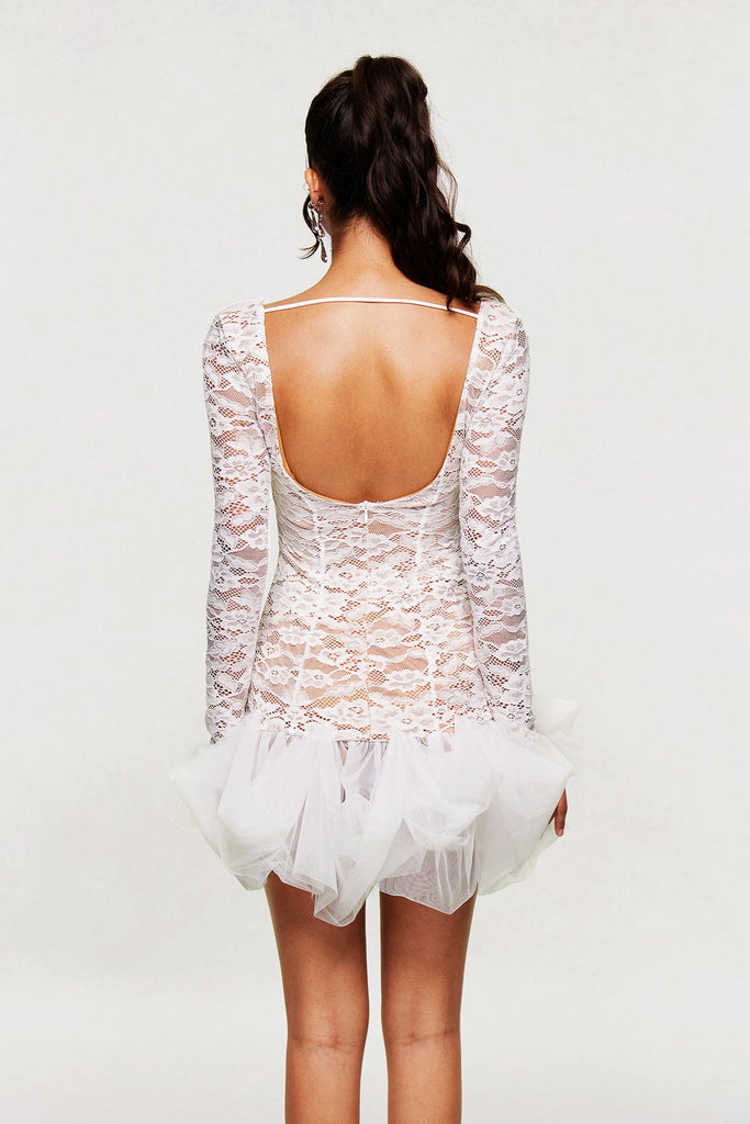 Barun Lace Mesh V Neck Mini Dress - Stylish beautiful dress for special occasions | Buy Online