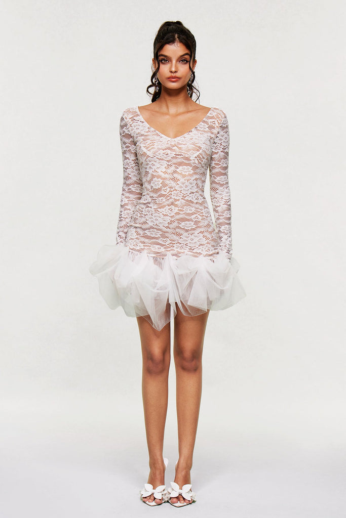 Shop  beautiful dress - Perfect for special occasions | Barun Lace Mesh V Neck Mini Dress