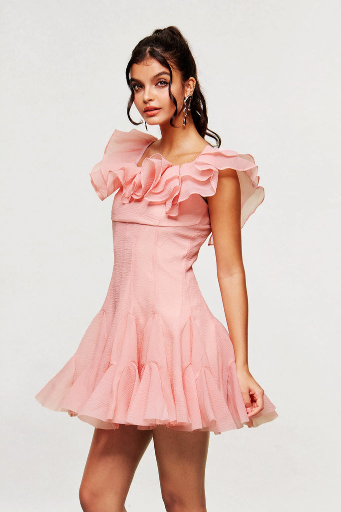 Blago Ruffle Corset Mini Dress In Pink - Stylish pink dress for special occasions | Buy Online