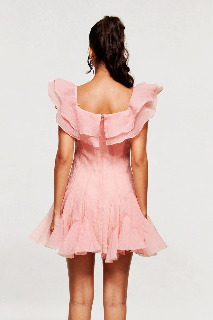 Shop  pink dress - Perfect for special occasions | Blago Ruffle Corset Mini Dress In Pink