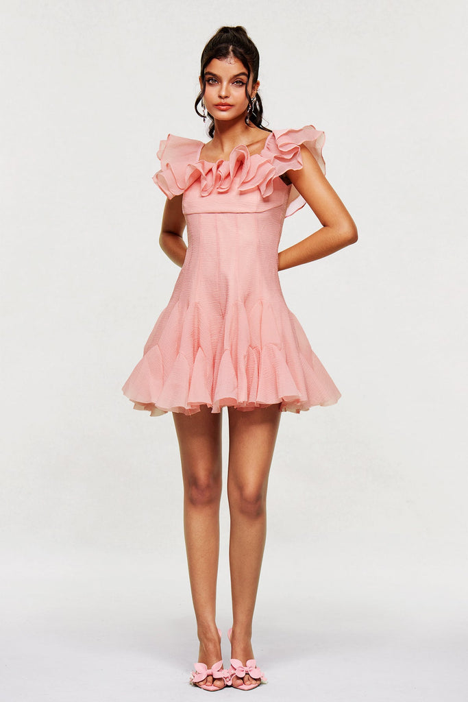 Stylish pink dress | Blago Ruffle Corset Mini Dress In Pink - Ideal for special occasions