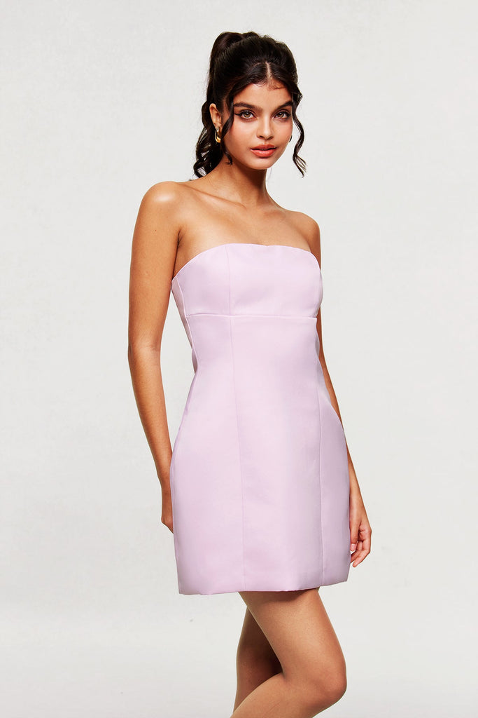 Shop  pink dress - Perfect for special occasions | Blanche Strapless Mini Dress In Pink