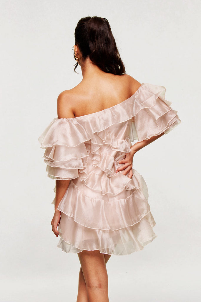 Shop  beautiful dress - Perfect for special occasions | Blandine Ruffle Ruch Mini Dress