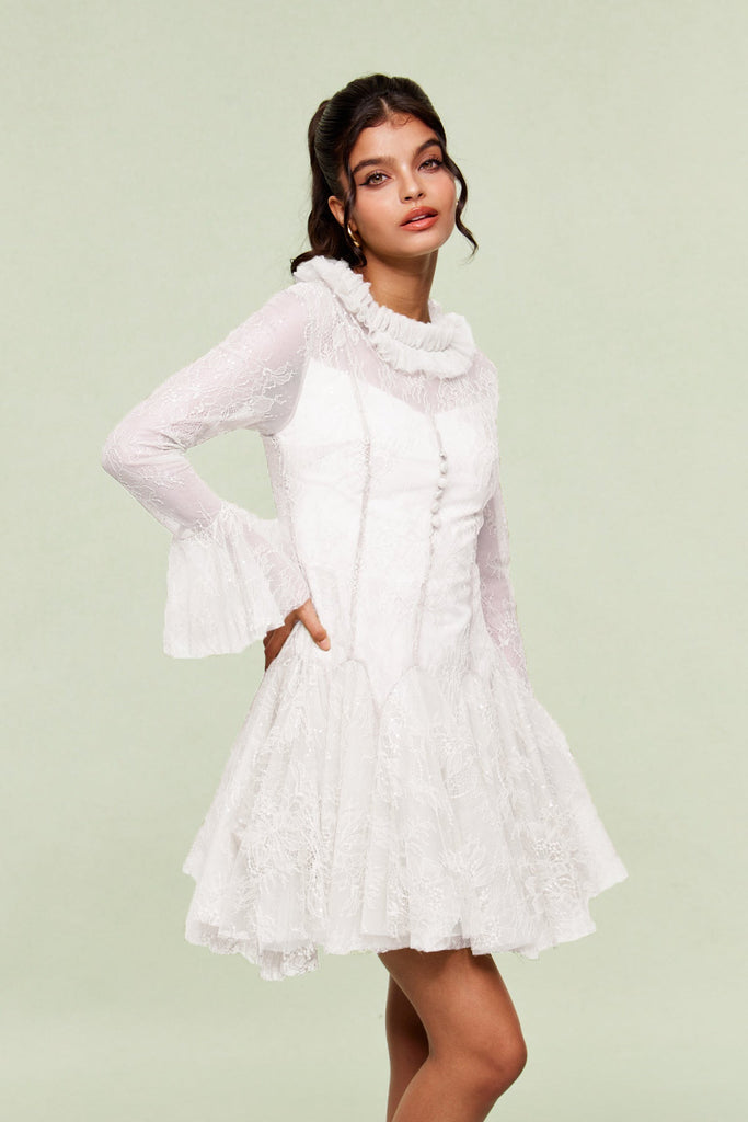 Stylish red dress | Blanid Lace Embroidered Ruffle Mini Dress In White - Ideal for special occasions