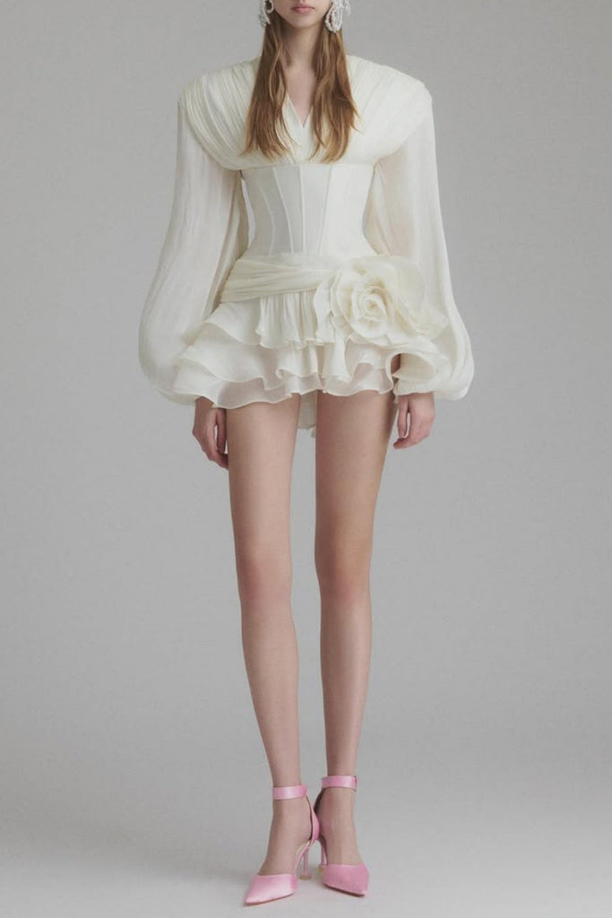 Shop  beautiful dress - Perfect for special occasions | Blysse Floral Applique Pleat Corset Mini Dress