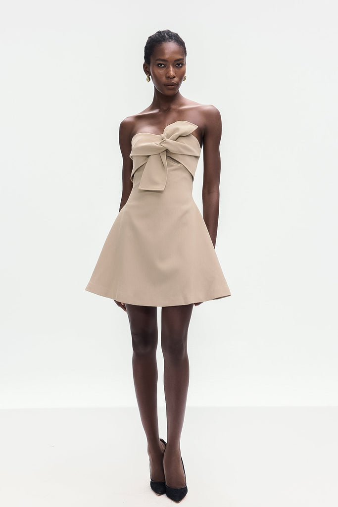 Bolanle Lace Up Strapless Mini Dress - Stylish beautiful dress for special occasions | Buy Online