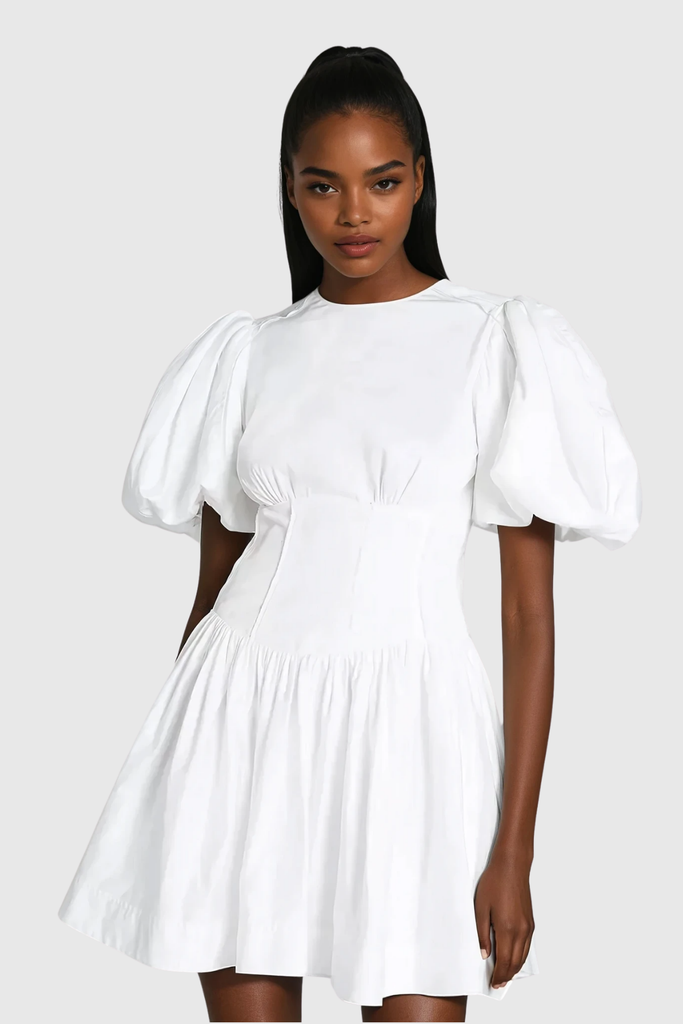 Stylish beautiful dress | Boyka Balloon Sleeve Ruch Mini Dress - Ideal for special occasions
