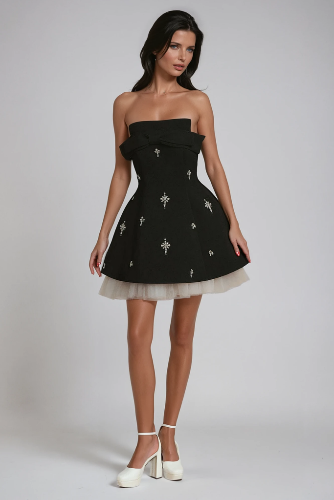 Stylish beautiful dress | Bracha Crystal Bow Mesh Mini Dress - Ideal for special occasions