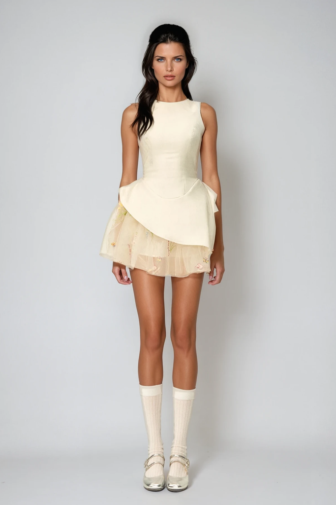 Brais Asymmetric Mesh Mini Dress - Stylish beautiful dress for special occasions | Buy Online