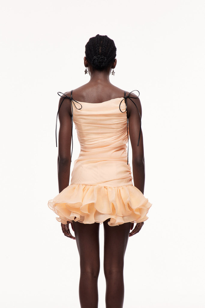 Stylish beautiful dress | Celsa Ruch Ruffle Mini Dress - Ideal for special occasions