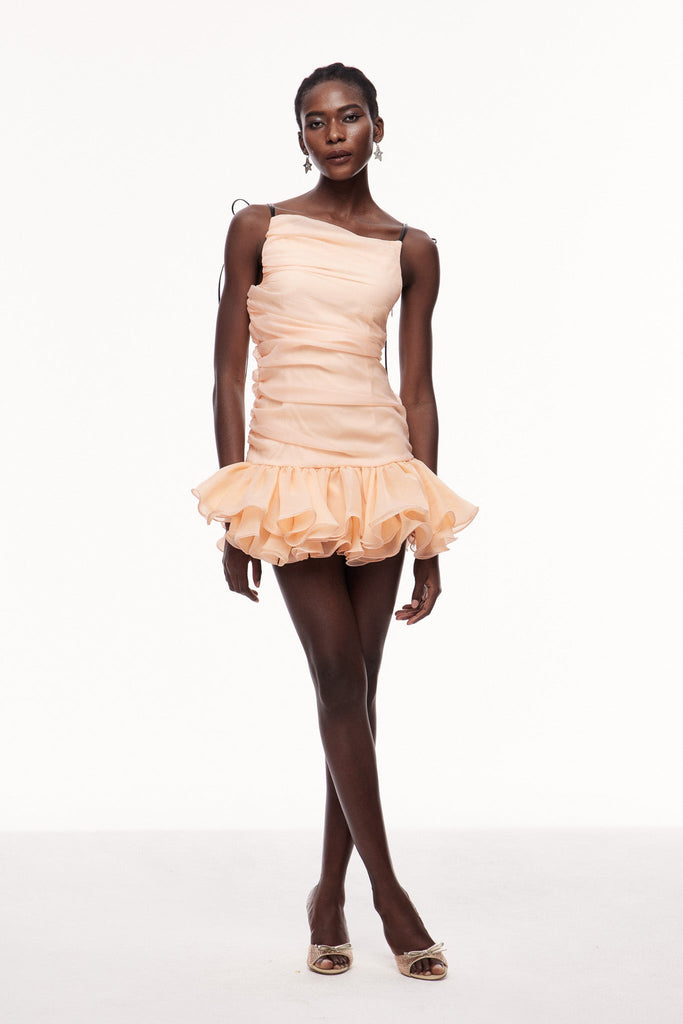 Stylish beautiful dress | Celsa Ruch Ruffle Mini Dress - Ideal for special occasions