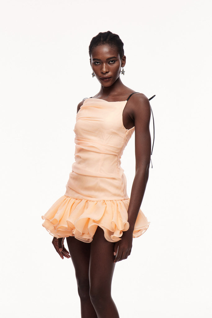 Stylish beautiful dress | Celsa Ruch Ruffle Mini Dress - Ideal for special occasions