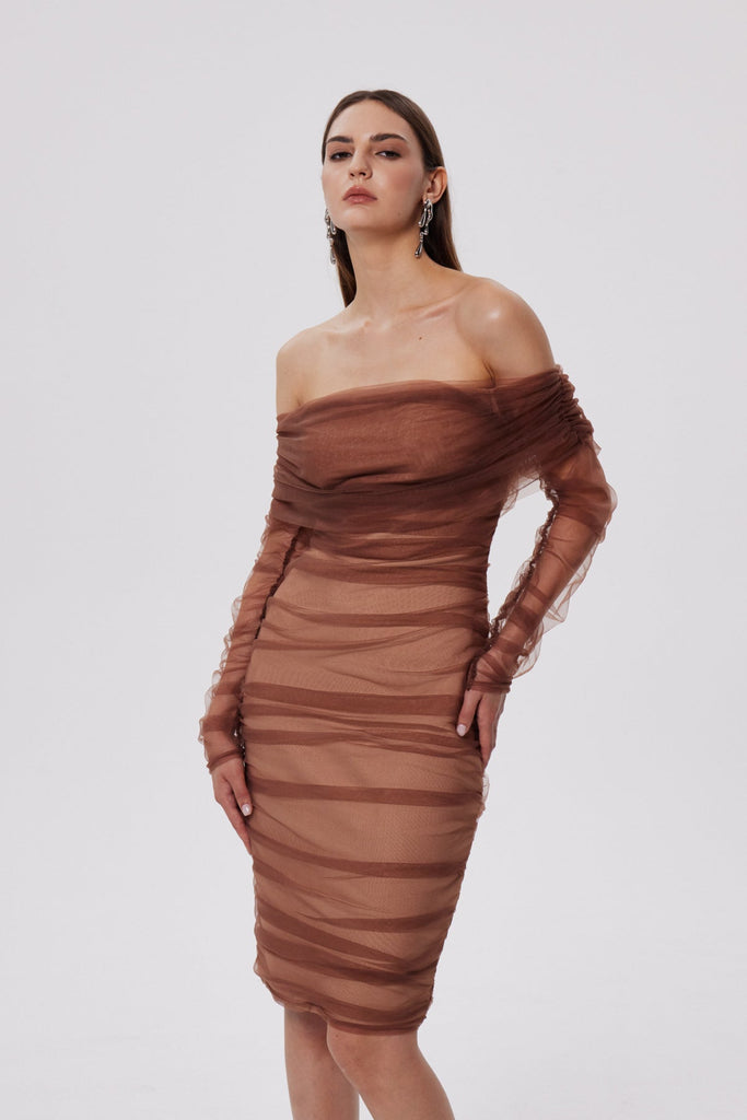 Shop  beautiful dress - Perfect for special occasions | Chaska Mesh Ruch Bandage Midi Dress