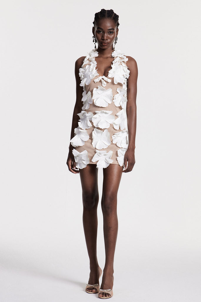 Shop  beautiful dress - Perfect for special occasions | Chizqiyahu Flower Halter Neck Mesh Mini Dress